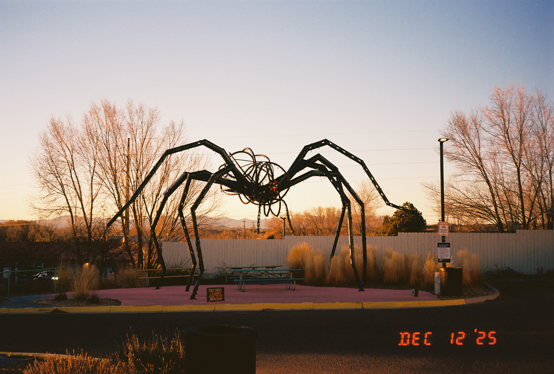 Arachnid