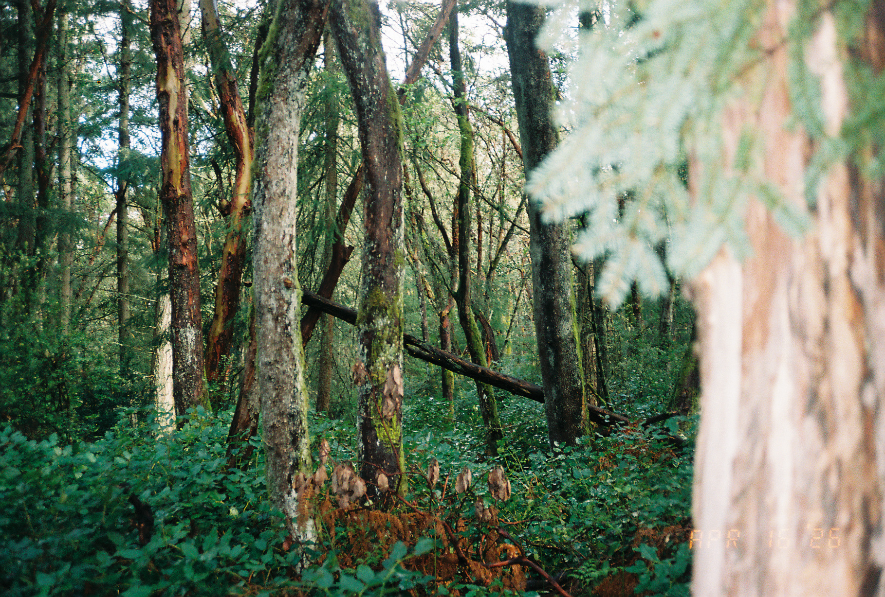 Untitled 54
